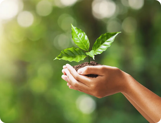 Jiangsu Dingshun Produk Medis Co, Ltd.